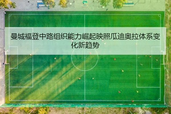 man-cheng-fu-deng-zhong-lu-zu-zhi-neng-li-jue-qi-ying-zhao-gua-di-ao-la-ti-xi-bian-hua-xin-qu-shi-2-222.jpg