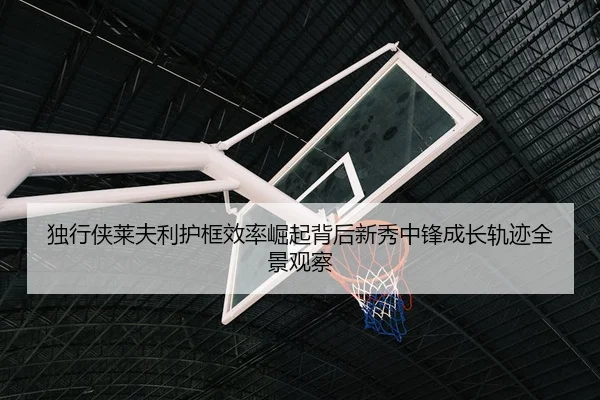 独行侠莱夫利护框效率崛起背后新秀中锋成长轨迹全景观察